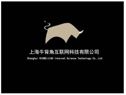 徐莉莉,公司经营范围包括:一般项目:从事互联网科技,计算机